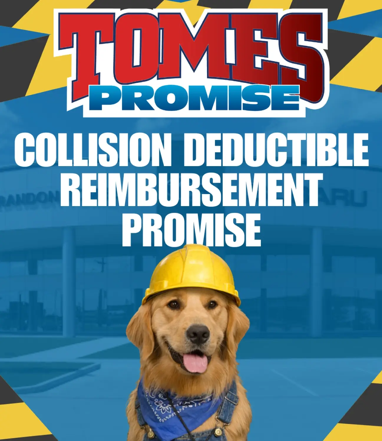 Tomes Auto Group - Ollie Promise Tomes Auto Group - Ollie Promise